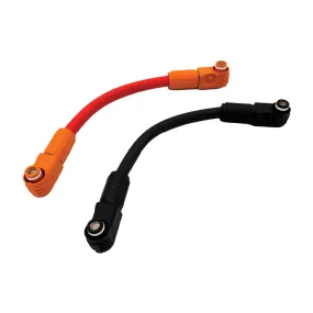 Expion360 Edge EX2 12V Parallel Cable